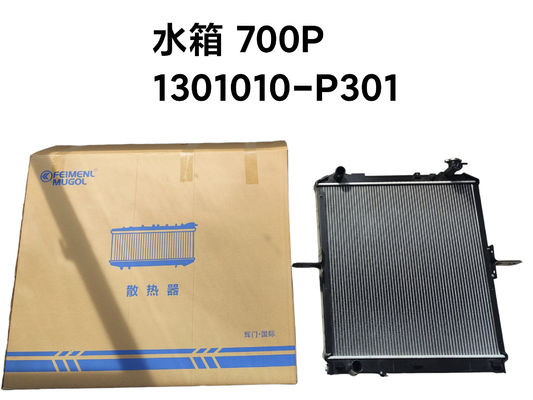 フェイメンル・ムゴル ラジエーター組立物 ISUZU NPR NQR 4HK1,1301010-P301